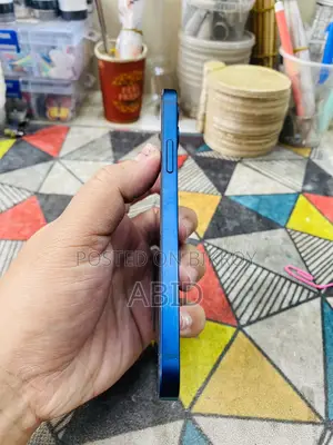 Apple iPhone 12 (Used)