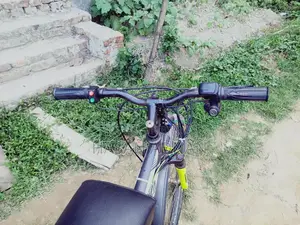 Phonix E-bike 24v 250w Motor