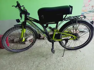 Phonix E-bike 24v 250w Motor