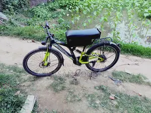 Phonix E-bike 24v 250w Motor