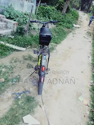 Phonix E-bike 24v 250w Motor