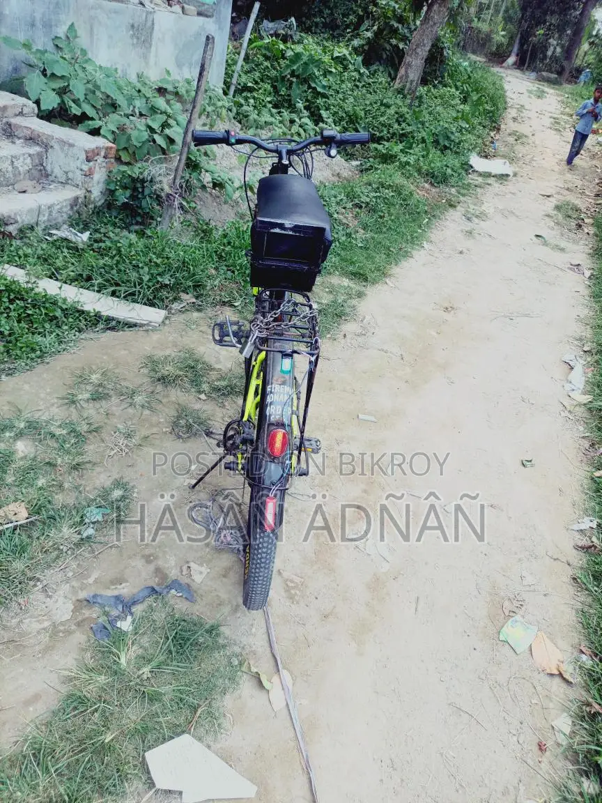 Phonix E-bike 24v 250w Motor
