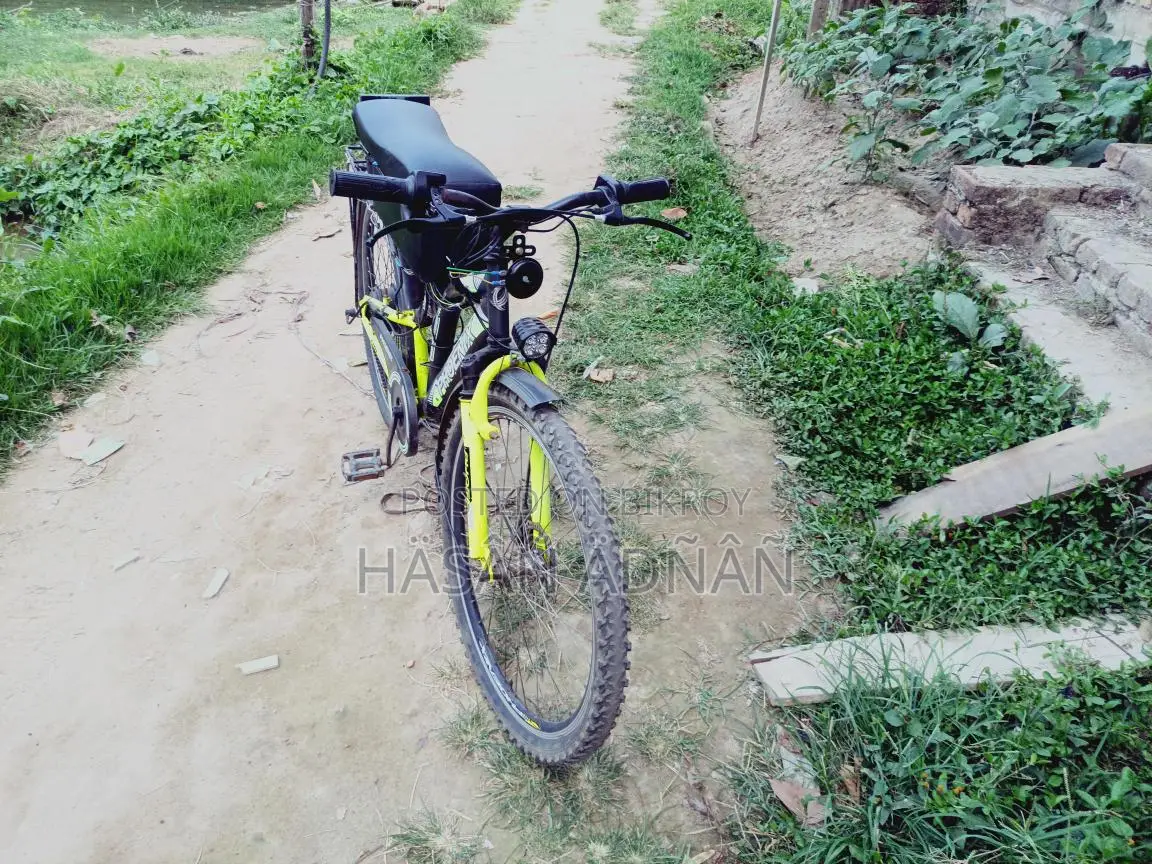 Phonix E-bike 24v 250w Motor