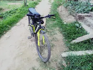 Phonix E-bike 24v 250w Motor