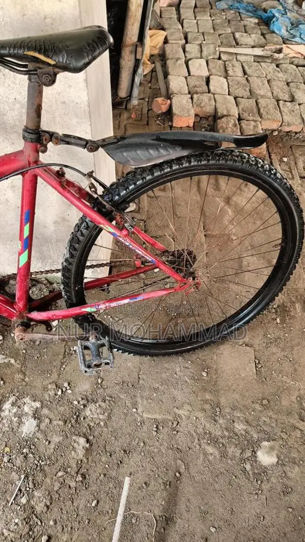Cycle for sale