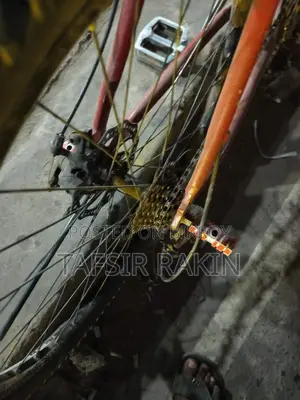 Selling this bicycle