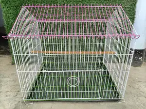 পাখির চাইনিজ কেইজ নতুন Birds Cage