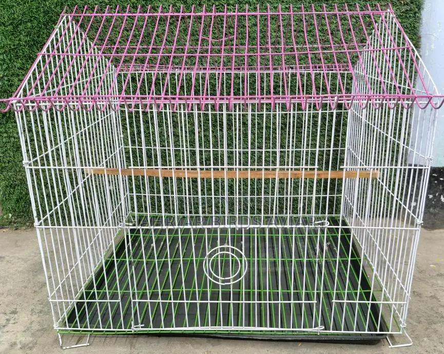 পাখির চাইনিজ কেইজ নতুন Birds Cage