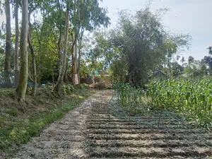 10-foot road access, high land next to Chikli Beel
