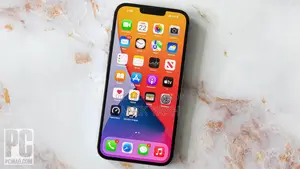 Apple iPhone 13 Pro Max (Used)