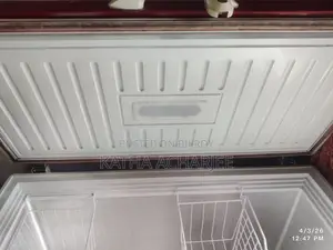 Vision Company Deep Freezer