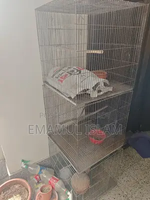 ১০ পিস পাখির খাঁচা বিক্রি হবে