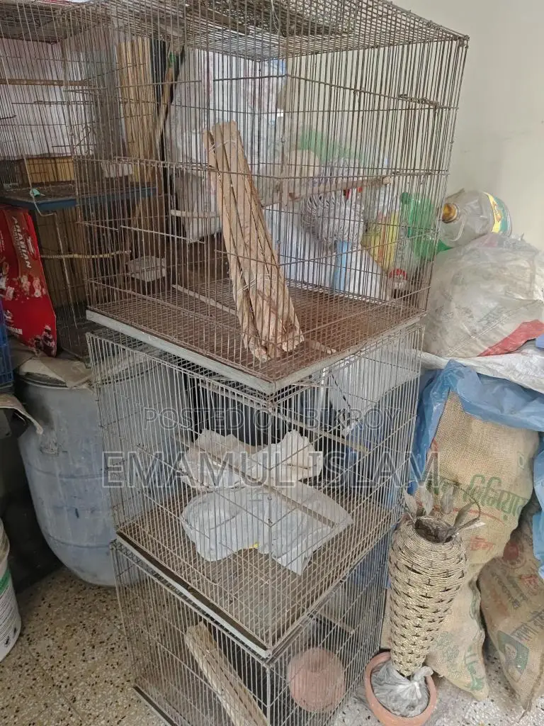 ১০ পিস পাখির খাঁচা বিক্রি হবে