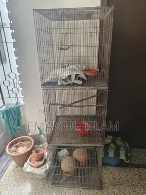 ১০ পিস পাখির খাঁচা বিক্রি হবে