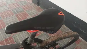 Premium Cycle Saddle