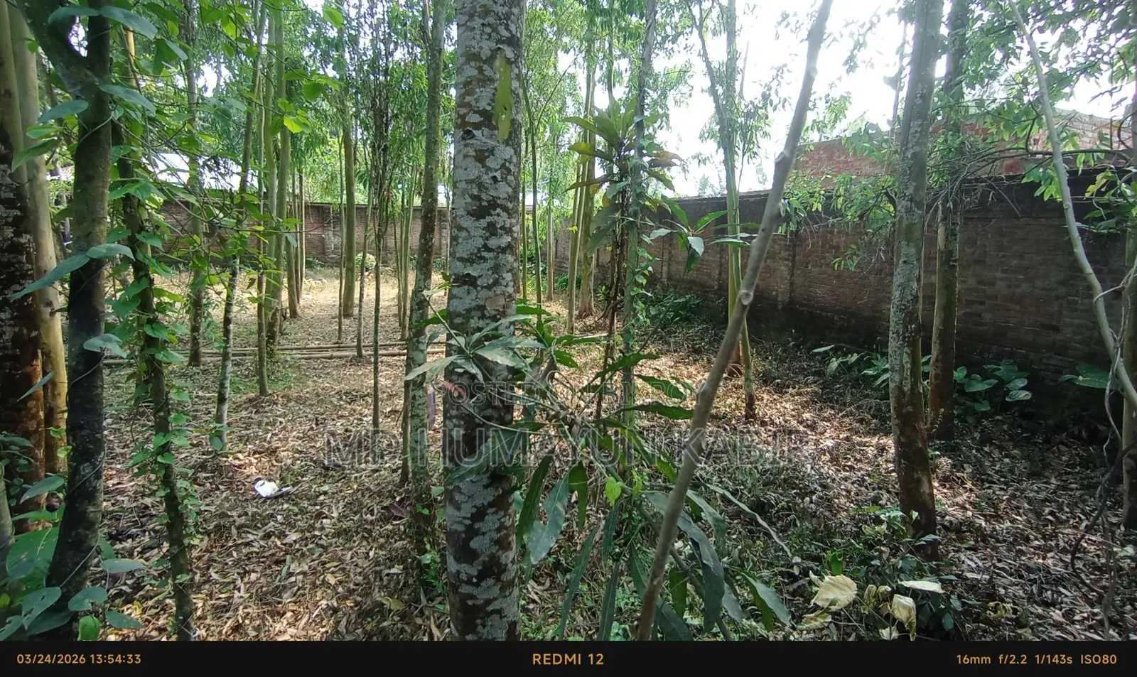 17.50 Shotok land for sale along the main road in Lalmonirhat.