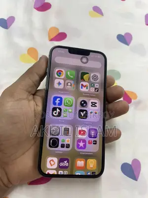 Apple iPhone 13 Pro আসল (Used)