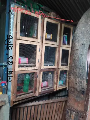 ৯ খোপ ওয়ালা খাচাঁ