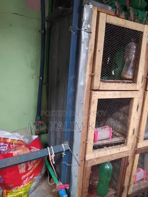 ৯ খোপ ওয়ালা খাচাঁ