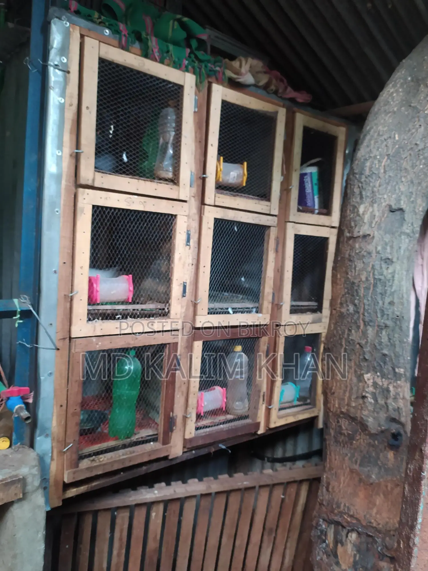 ৯ খোপ ওয়ালা খাচাঁ