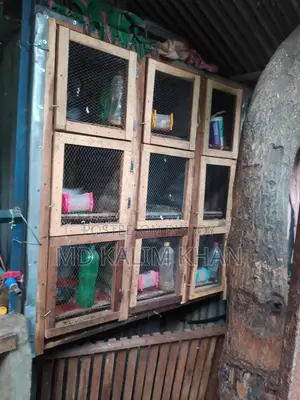 ৯ খোপ ওয়ালা খাচাঁ