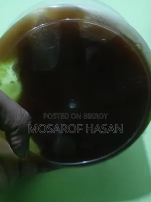 Original Sugarcane Jaggery from Gazipur