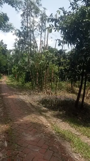 জমি বিক্রি করা হবে