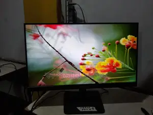 22 Hikvision 1Mark IPS Borderless Monitor