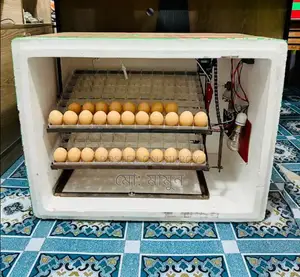 ডিম ফোটানোর মেশিন বিক্রি করা হবে। খুবই কম দামে।
