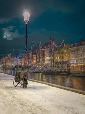 শেনজেনভুক্ত Denmark এ সরকার অনুমোদিত G2G প্রক্রিয়ায় Driver নিয়োগ