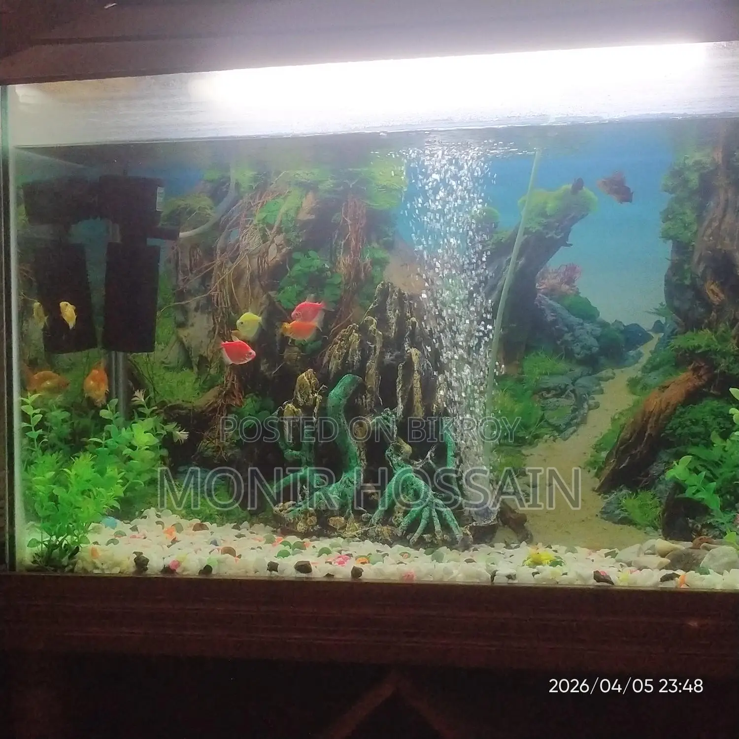 একুরিয়াম বিক্রয় করবো।