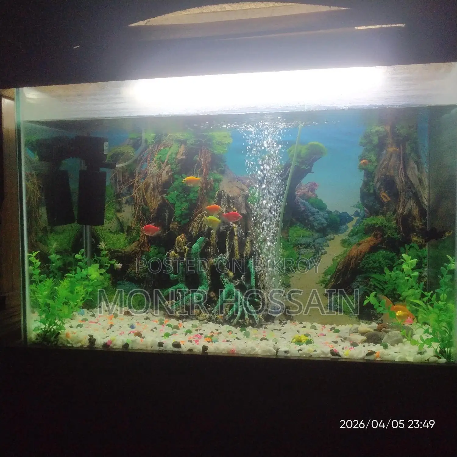 একুরিয়াম বিক্রয় করবো।