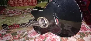 Acoustic Guitar / Signature