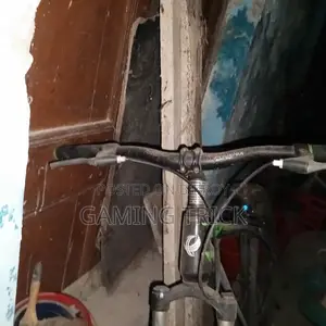 ফিনিক্স ৩২ সাইজের সাইকেল ৭ মাস ব্যবহৃত