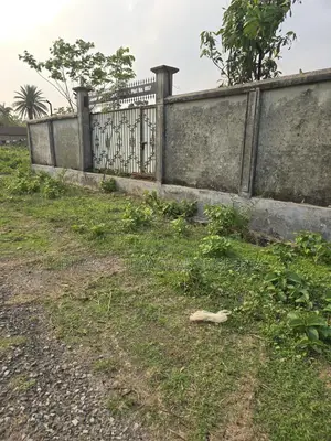 Sector -23 South Facing 3 Katha Plot
