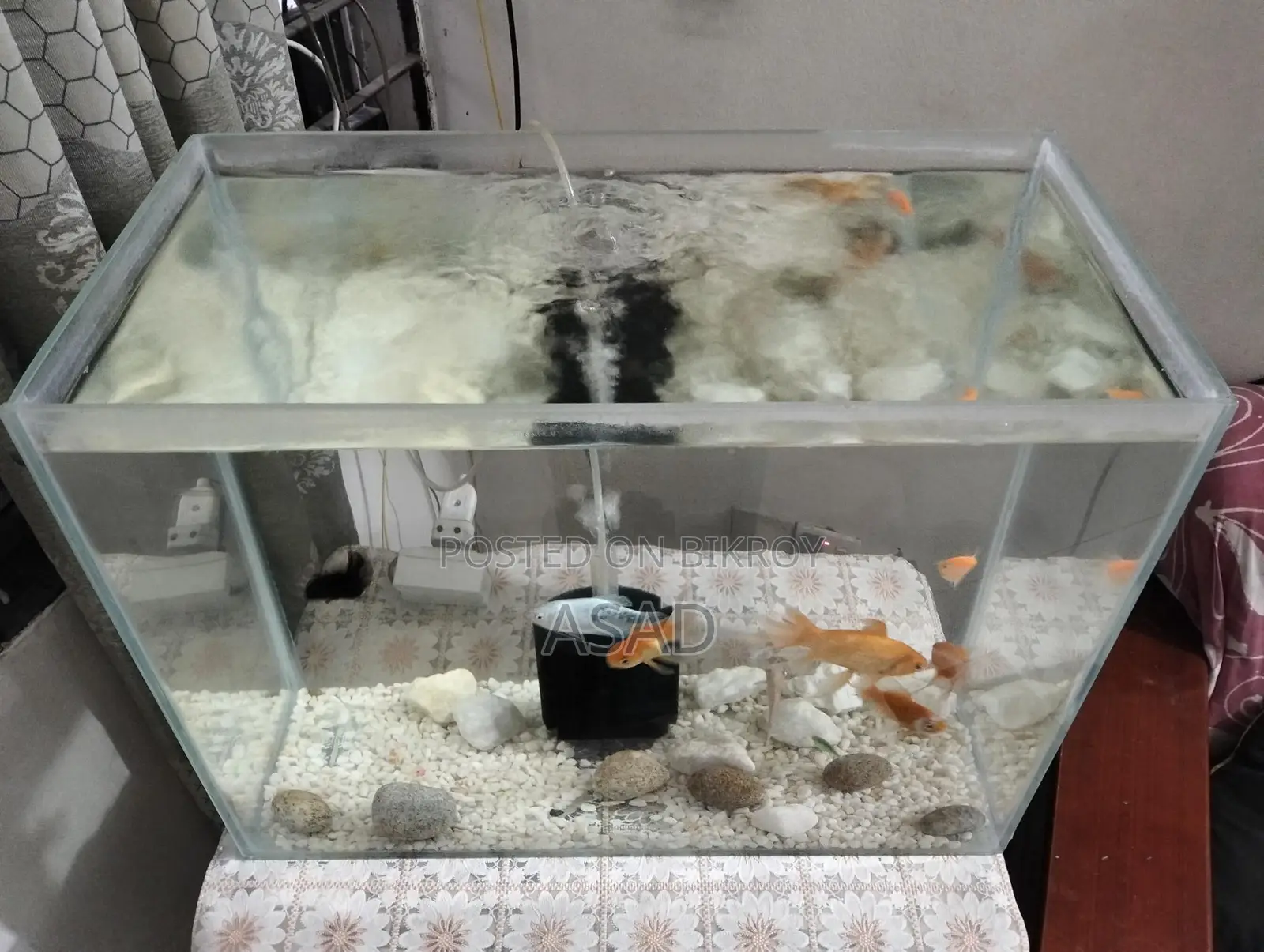 ক্রিস্টাল গ্লাস একুরিয়াম