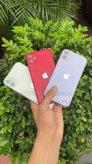 Apple iPhone 11 (Used)