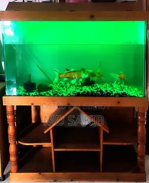 Fish Tank & Stand Full Set