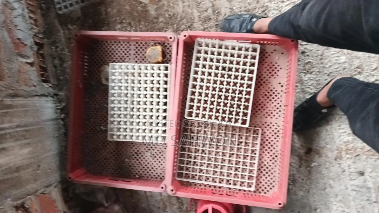 ইনকুবেটর