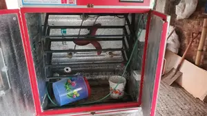 ইনকুবেটর
