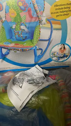 Baby Bouncer