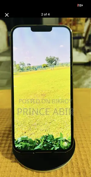Apple iPhone 13 Pro Max 256 (Used)