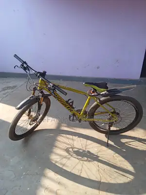 Bicycle Sale