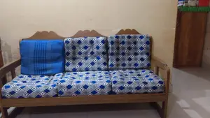 Silhori plant, no issues, selling due to lack of space at home