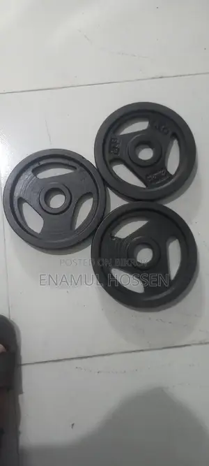 Fair Condition Weight Plates