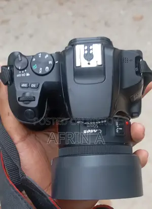 canon 250d
