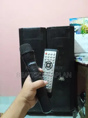 Abs-2015 Multimedia Amplifier Speakers Pair