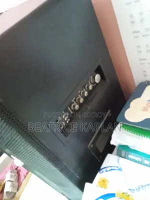 Abs-2015 Multimedia Amplifier Speakers Pair
