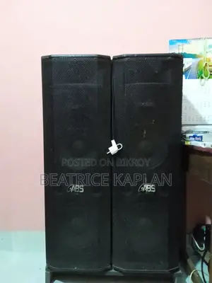 Abs-2015 Multimedia Amplifier Speakers Pair