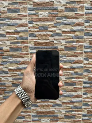 Apple iPhone 12 Pro (Used)